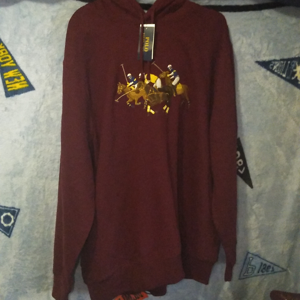 Polo hoodie